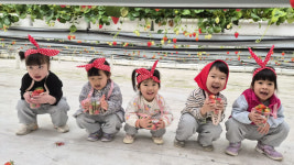 의성 도리원초등학교 병설유치원, 딸기따기 체험활동