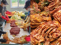 주식회사 맷돌순두부, 상반기 김장 마무리… 연 2회 직접 담그기 운영 지속