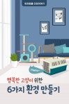 [카드 뉴스] 행복한 고양이 위한 6가지 환경 만들기