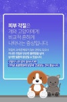 [카드 뉴스] 몸에서 눈이 내리는 강아지와 고양이?!