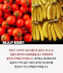 [카드 뉴스] 너 하나만 믿는다... 비만치료의 대안? 원푸드 다이어트의 함정