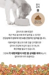 [카드 뉴스] 대변색깔로 강아지 건강상태 알 수 있다고요?