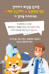 [카드뉴스] 강아지들은 전기장판에도 화상 입을 수 있어요