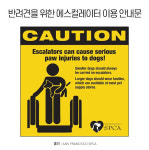 [반려동물 건강이야기] 에스컬레이터 탄 강아지, 발이 끼어 크게 다칠 수도!