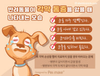 [반려동물 건강이야기] 반려동물이 우는 것은 슬퍼서가 아니다