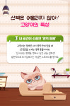 [카드뉴스] 냥집사의 영원한 로망, 고양이 산책