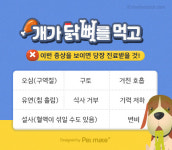 [반려동물 건강이야기] 우리 집 강아지가 닭 뼈를 먹었어요!
