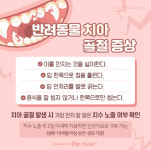 [반려동물 건강이야기] 이가 부러진 반려동물, 어떻게 해야 할까요?