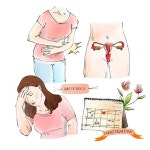 자궁경부암검진 김에 초음파검사도? 혹시 모를 자궁근종 발견할 수 있습니다