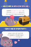 [반려동물 건강이야기] 예민보스 고양이를 위한 스트레스 없는 동물병원 방문요령