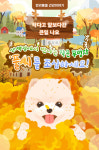 [반려동물 건강이야기] 산책길에서 만나는 작은 무법자, 풀씨를 조심하세요!