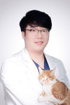 [반려동물 건강이야기] 반려동물 뒷다리 정형외과질환 TOP3, ①전십자인대파열