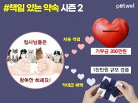 에스알피웰페어 주식회사 | "SNS에 반려동물 사진 올리고 행복한 세상 만들어요"