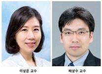 중증난치성질환 이영양형 수포성 표피박리증, 유전자치료 가능성 제시돼