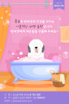 [반려동물 건강이야기] 깨끗하개 맑개 자신있개-강아지 목욕 가이드