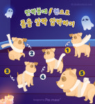 [반려동물 건강이야기] 천둥소리에 바들바들 강아지 천둥공포증 극복 가이드