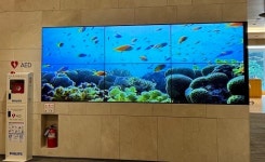[서울만큼 잘하는 지역병원] 유성선병원 환자·보호자의 시선에서 빚은 병원…누구에게나 좋은 경험 선사하고파