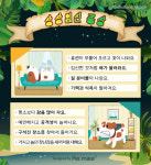 [반려동물 건강이야기] 강아지 고양이도 상상임신을? 중성화수술로 예방해요!