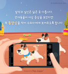 [반려동물 건강이야기] 동물병원 방문도 준비가 필요해! 보호자를 위한 꿀팁