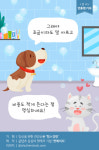 [반려동물 건강이야기] 멍냥이 치아, 어디까지 알고 있니?