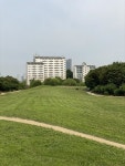 [헬스경향 추천 힐링스팟] 풍납토성, 산책하며 느끼는 1500년의 역사적 조화