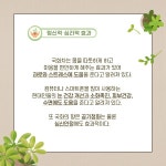 [반려식물 이야기]  첫 추위를 이겨낸 가을꽃 국화