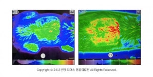 [반려동물 건강이야기] 반려동물 맞춤형 한방·재활치료, 줄기세포를 활용하다!