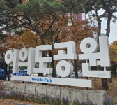 [헬스경향 추천 힐링스팟] 눈코 뜰 새 없이 바쁜 직장인도 쉬어가는 여의도공원