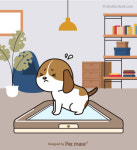 [반려동물 건강이야기] 재발률 높기로 악명 높은 방광결석...예방·관리에 힘써야!