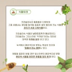 [반려식물 이야기]  햇볕 따라 변하는 크라슐라속 성을녀