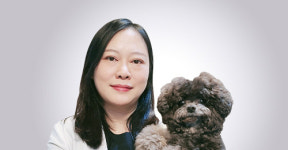 [반려동물 건강이야기] 반려동물 아토피 치료 A to Z