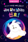 [반려동물 건강이야기] 강아지가 머리를 계속 흔든다? 귀에 탈이 났다는 신호!
