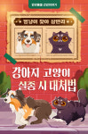 [반려동물 건강이야기] 멍냥이 찾아 삼만리, 강아지 고양이 실종 시 대처법