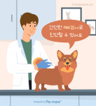 [반려동물 건강이야기] 반려동물 사망원인 1위 암...작은 혹도 가벼이 여기지 말자!