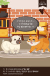 [반려동물 건강이야기] 암 치료는 조기발견이 관건! 멍냥이 암 신호를 앎