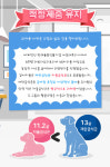 [반려동물 건강이야기] 보호자 곁에 오래오래 건강하게...반려동물 장수 프로젝트