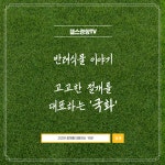 [반려식물 이야기] 고고한 절개를 대표하는 국화