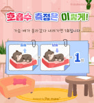 [반려동물 건강이야기] 겨울철 심부전 반려동물 관리 가이드