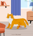 [반려동물 건강이야기] 고양이도 무릎이 빠질 수 있다...조용하게 진행하는 슬개골탈구