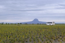 최상의 품질 향한 집념…세계서도 인정한 알로에 탄생시키다
