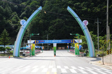  태백시, 15일 제25회 강원도민생활체육대회 개막 
