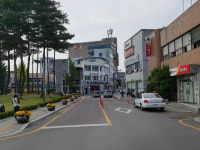  대가야읍, 국화로 가을맞이 준비 