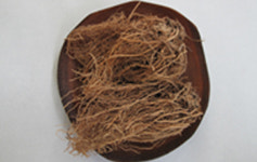  토종약초 쥐오줌풀 동물실험 결과…더 빨리, 오래 잔다 