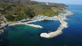  영덕읍 창포항, 창대항으로 새이름 얻어! 