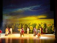  태바라기의 행복을 담은 초동면 봉대마을! 