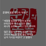  [카드뉴스] GAP인증농원 문경의 봄봄, 오미자체험 실시 