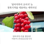  [카드뉴스] 이로하영농조합법인, 신제품 출시 예정 