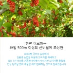  [카드뉴스] 이로하영농조합법인, 신제품 출시 예정 