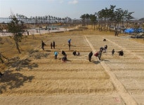 인천시설공단 영종공원사업단, 씨사이드파크 365 무료 텃밭 분양