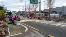 산토끼노래 발상지 창녕군 이방면, 봄꽃 9000본 식재